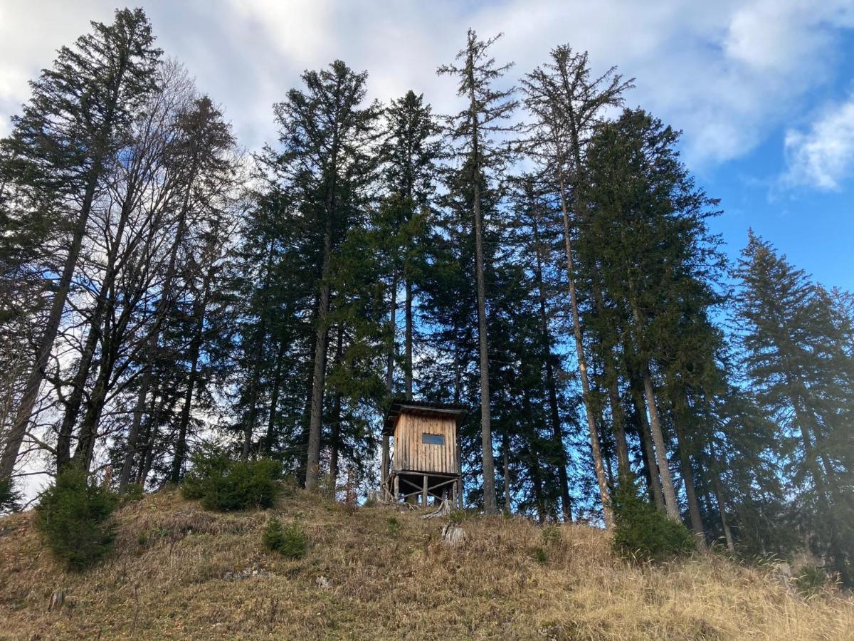 Chalet Wildalpen Zewnętrze zdjęcie