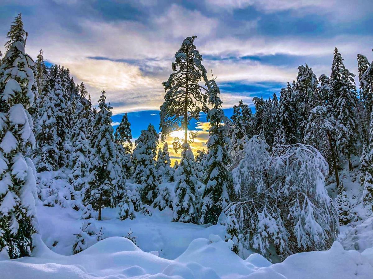 Chalet Wildalpen Zewnętrze zdjęcie