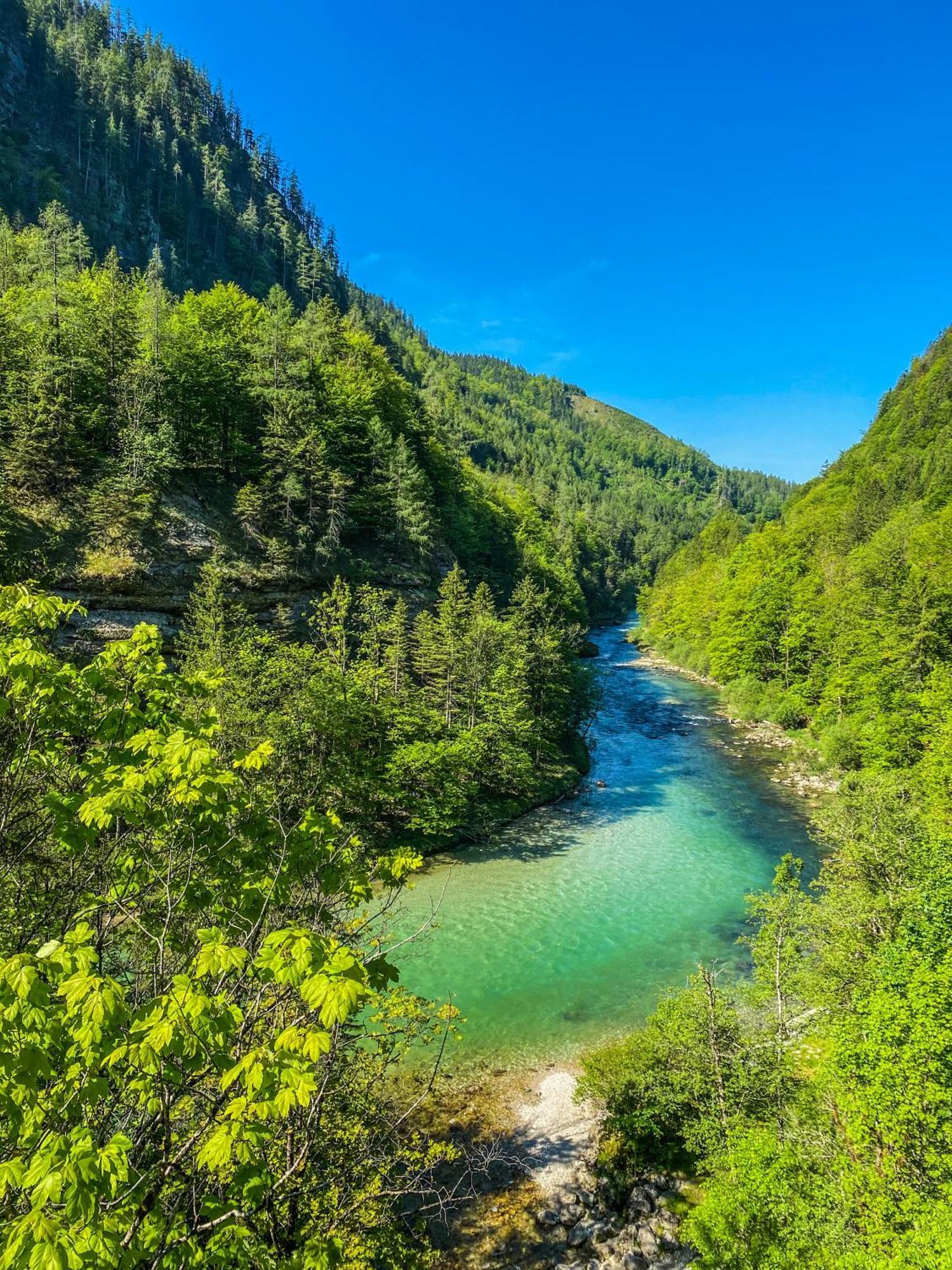 Chalet Wildalpen Zewnętrze zdjęcie