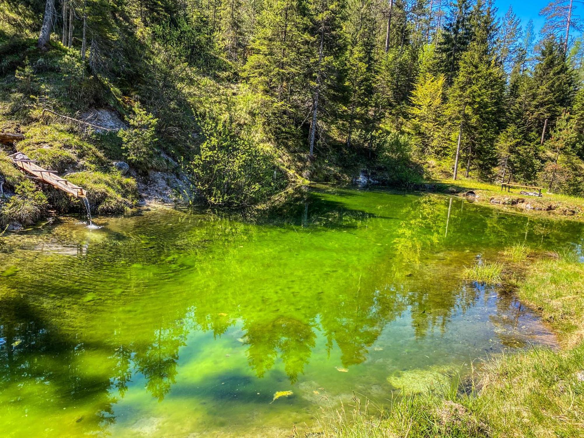 Chalet Wildalpen Zewnętrze zdjęcie