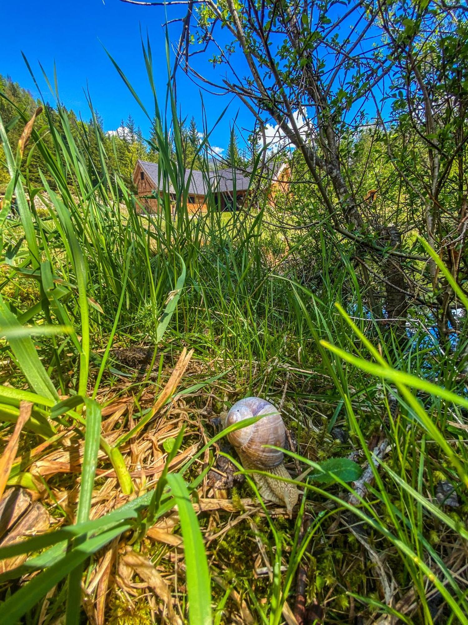 Chalet Wildalpen Zewnętrze zdjęcie
