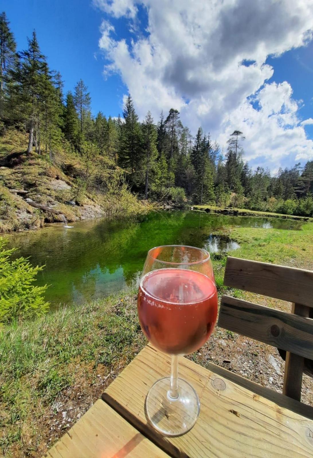 Chalet Wildalpen Zewnętrze zdjęcie