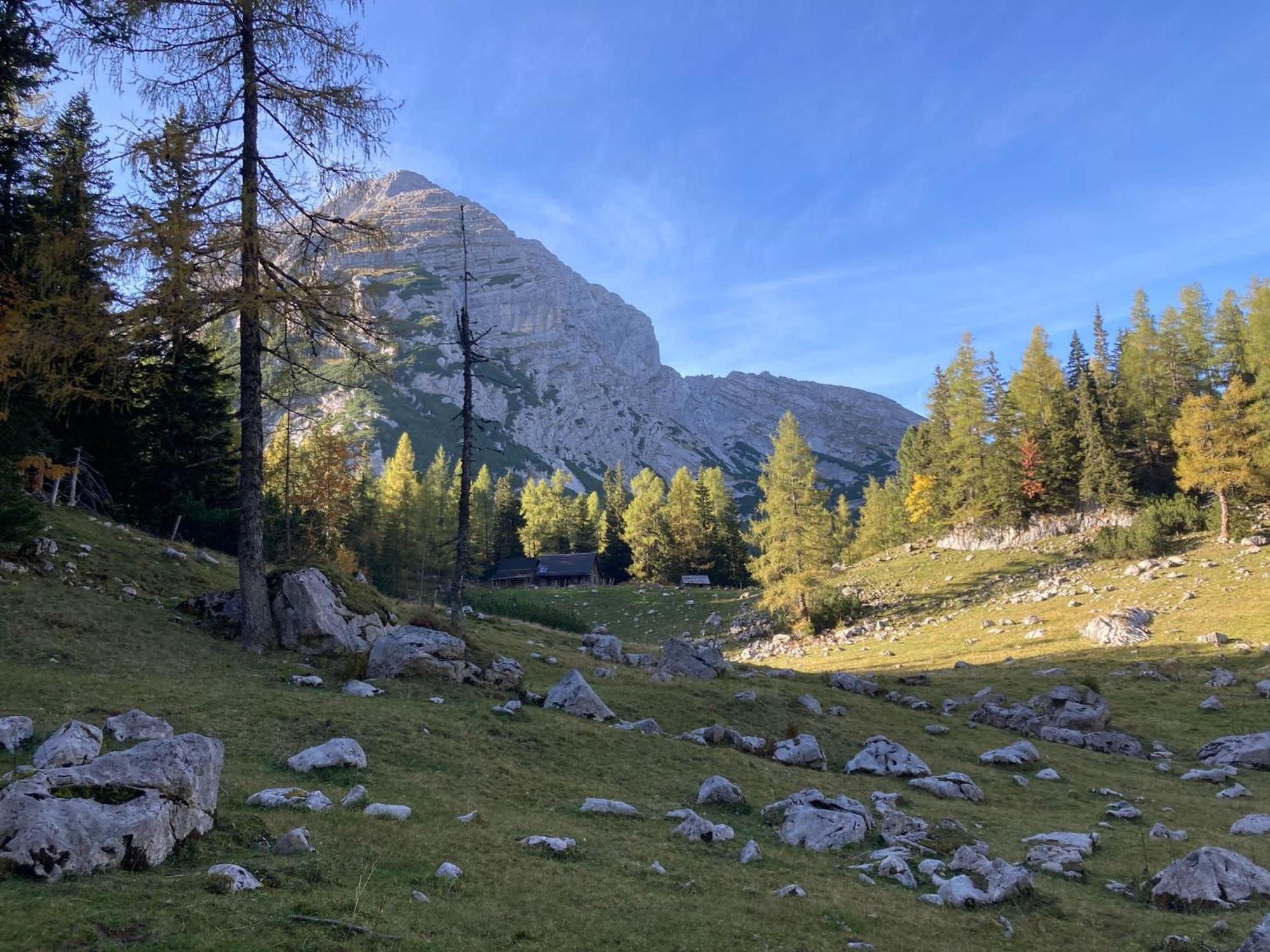 Chalet Wildalpen Zewnętrze zdjęcie