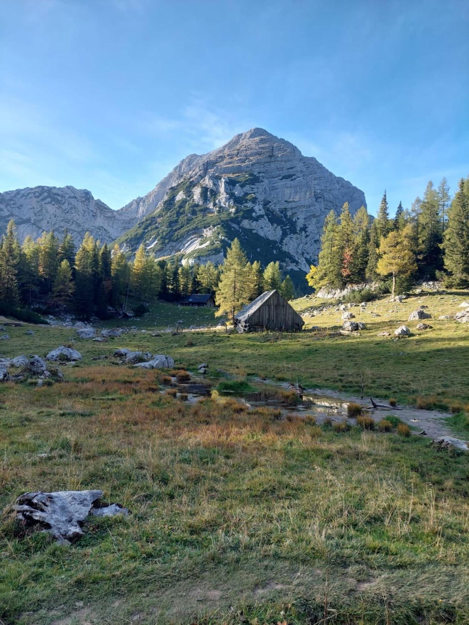 Chalet Wildalpen Zewnętrze zdjęcie