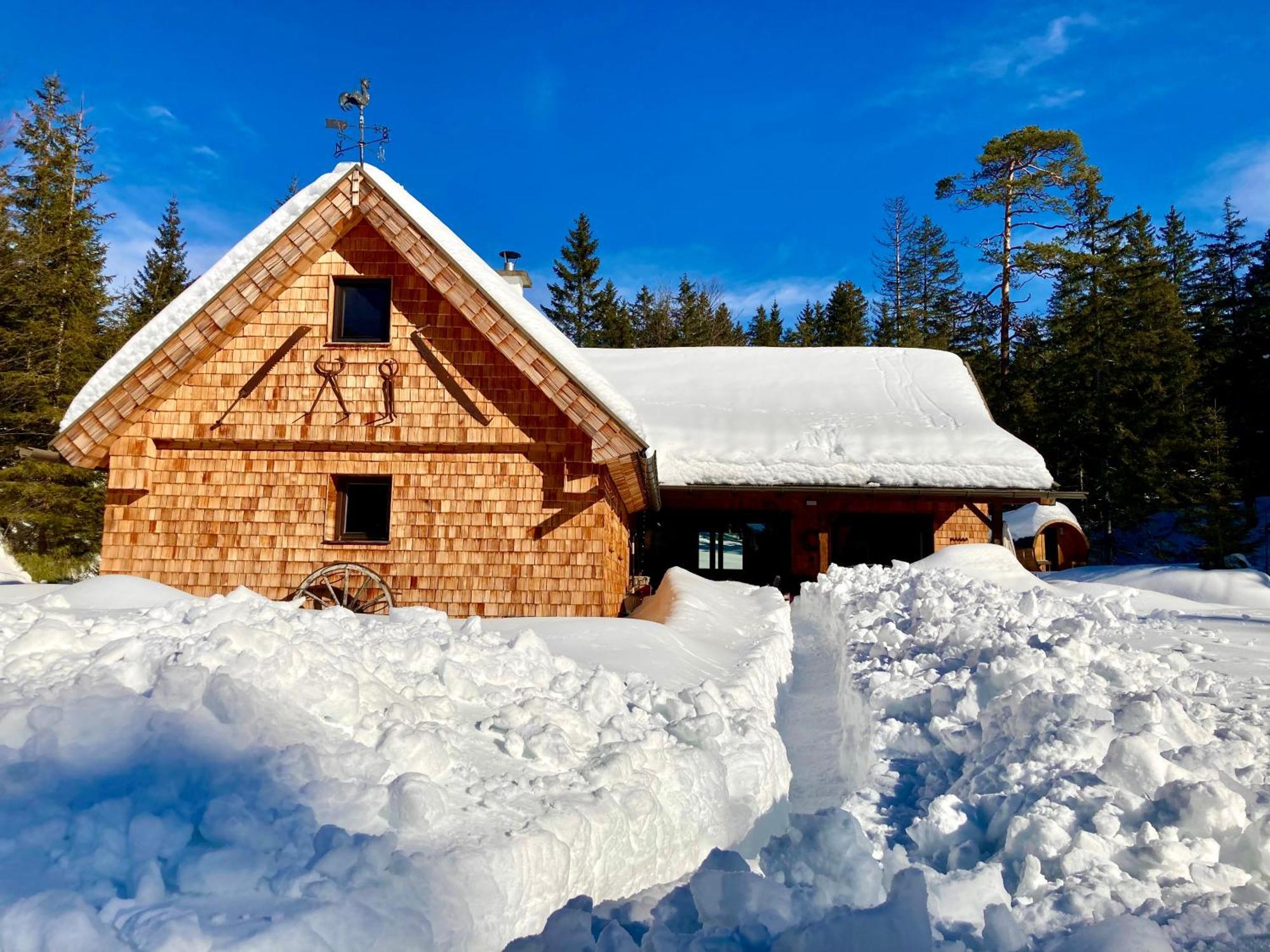 Chalet Wildalpen Zewnętrze zdjęcie