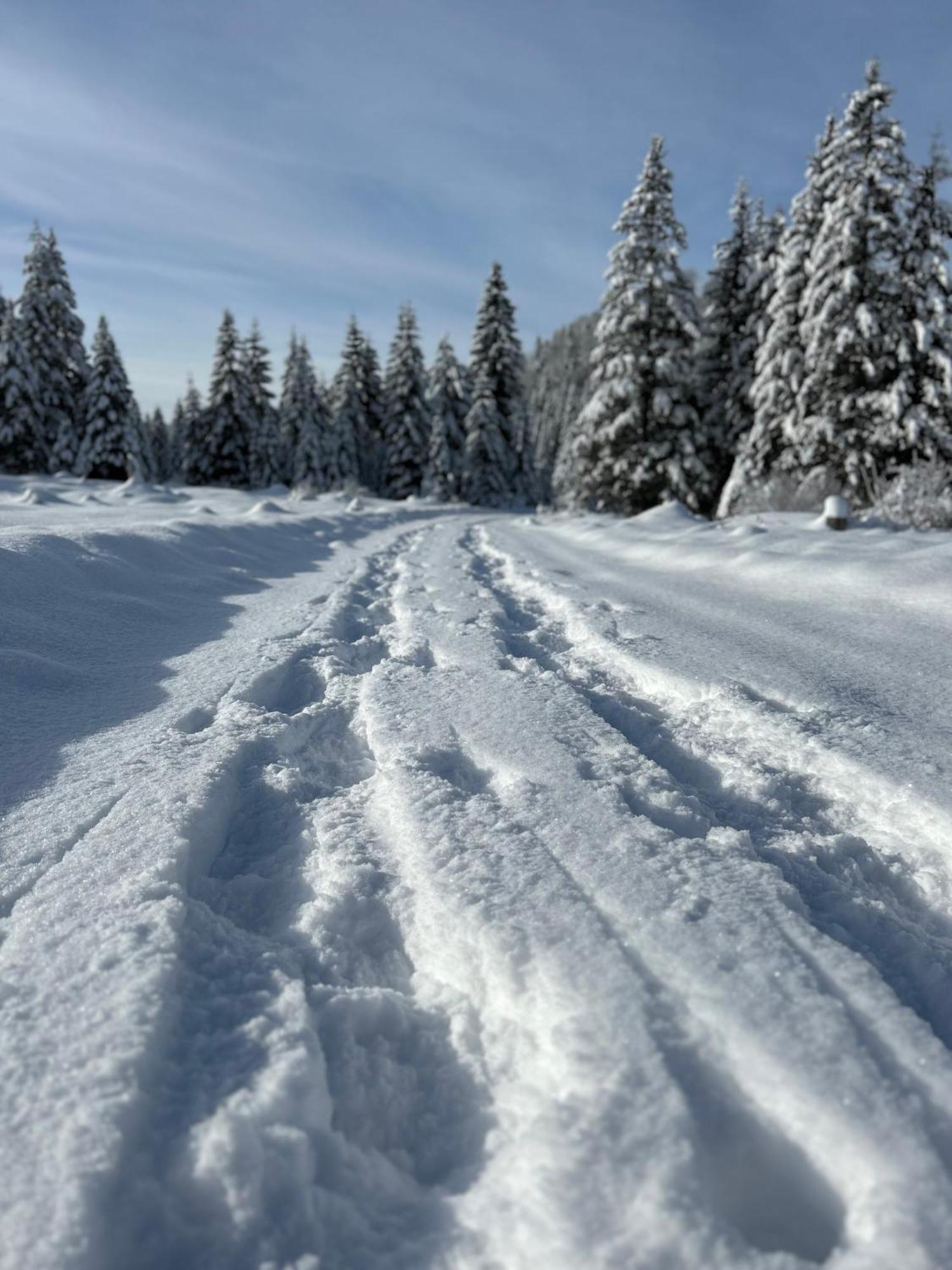 Chalet Wildalpen Zewnętrze zdjęcie